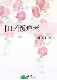 hp叛逆者 sunness网盘下载