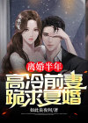 高冷前夫要复婚