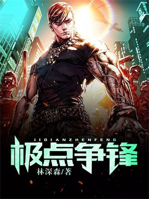 极点先锋是什么公司