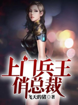 上门兵王俏总裁 飞天的猪