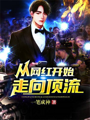 从网红到明星类小说