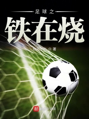 李铁足球之夜