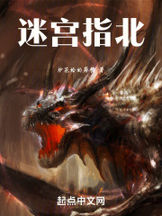 塞尔达北洛迷宫