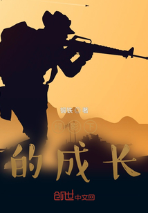 我的军旅生涯陆风小说
