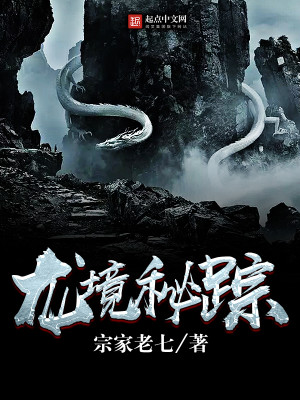 龙境秘踪结局