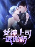 傲娇上司的笨蛋属
