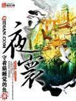 夜寰百度百科