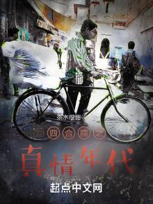 四合院之真情年代作者茶水很甜