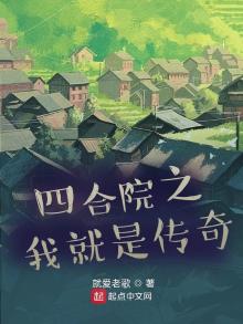 四合院之我就是传奇 小说下载