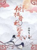 侧福晋有几位