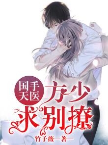 神医方少阳全文免费阅读
