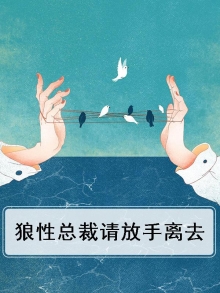 狼性总裁请放手夜浩远