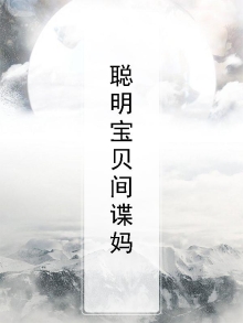 聪明宝贝小说