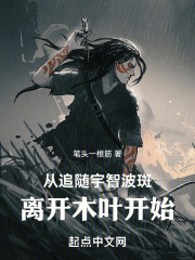 从宇智波开始掌控火影