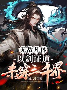无敌剑法小说