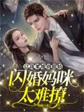 闪婚总裁爹地惹不起
