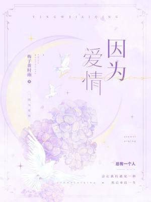 因为爱情有奇迹全集免费播放