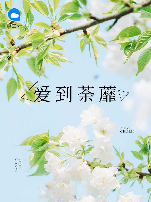 爱到荼靡王菲
