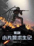 亮剑片花视频