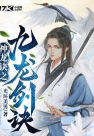 九龙神诀 小说