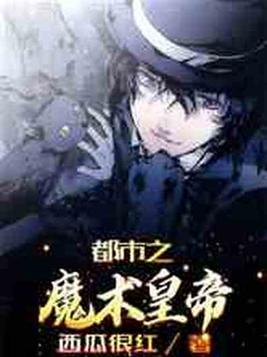 都市之魔术之神 小说