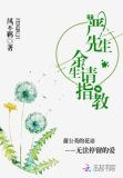 严先生是什么电视剧