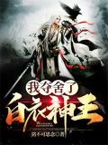 我夺舍了白衣神王炫书网