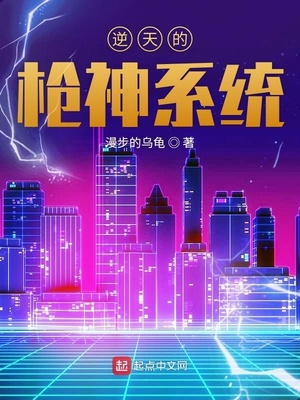 无敌枪神系统