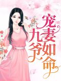 九爷宠妻如命全文免费阅读阅读