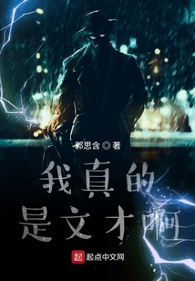 我真是文抄公