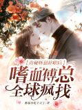 许觅是什么小说