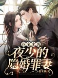 隐婚掠爱:四少宠妻入骨