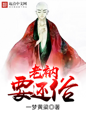 老衲要还俗TXT