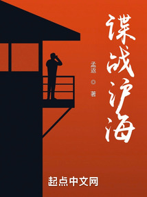 谍战沪海txt