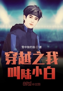 乱世小土匪下载
