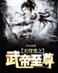 天穹变之武帝至尊
