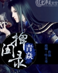 青焱捭阖录
