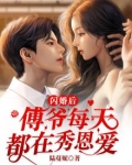 闪婚吗,傅先生?