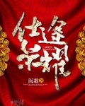 仕途荣耀小说免费阅读