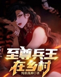 至尊兵王8难