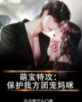 萌宝特攻:保护我方团宠妈咪