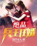 绝品兵王狂婿 浅空无人