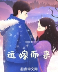 远嫁而来小说