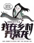 我在乡村养条龙