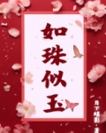 如珠似玉的意思