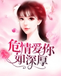 爱你情深如故