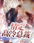 情定高冷总裁