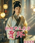 红楼之蔗子贾环
