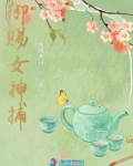 御赐女神探