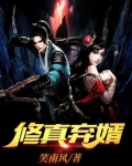 修真弃婿笑南风